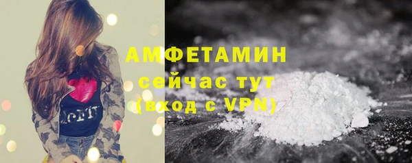 сатива Абинск