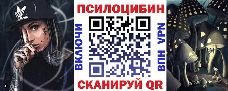 наркошоп OMG вход Псилоцибиновые грибы Psilocybe Красноармейск