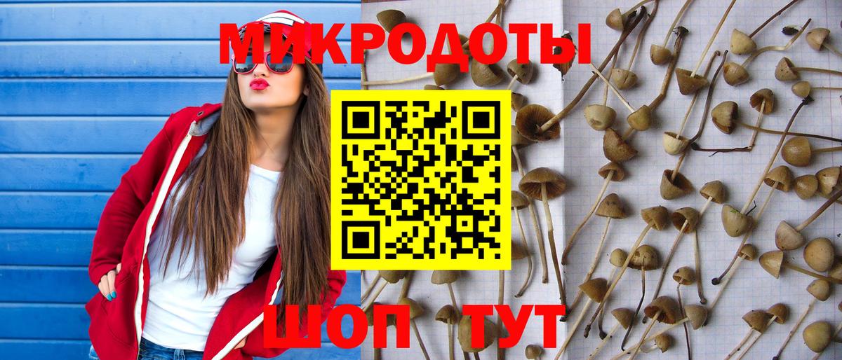 Псилоцибиновые грибы Psilocybine cubensis  Псилоцибиновые грибы Magic Shrooms  Красноармейск  Вход с VPN 